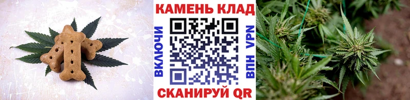 купить   Луга  Canna-Cookies марихуана 