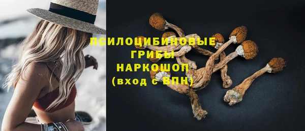 Альфа ПВП Абаза