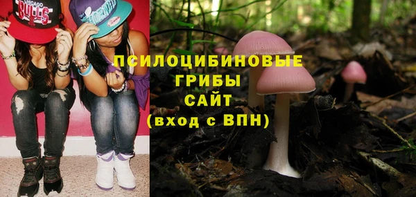 крисы Абинск