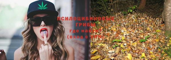 крисы Алексеевка