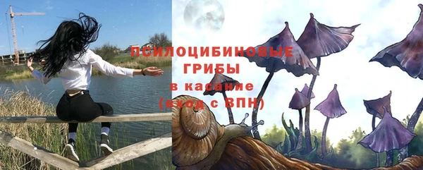 крисы Абинск