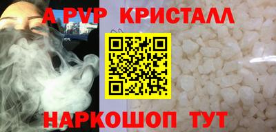 СК Кингисепп