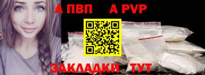 СК Кингисепп