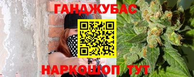СК Кингисепп