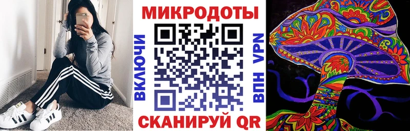 закладка  сайты даркнета наркотические препараты  Галлюциногенные грибы MAGIC MUSHROOMS  Луга 