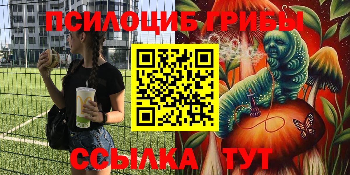 Галлюциногенные грибы Cubensis Луга